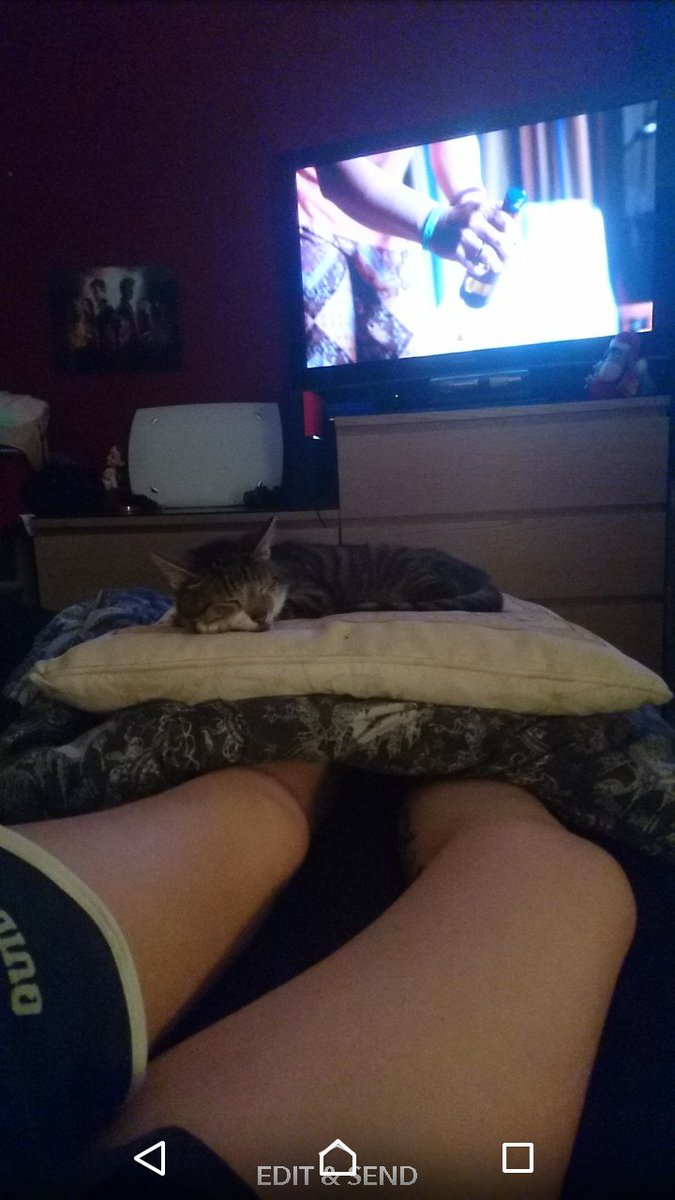 AimiB89's tweet photo. Don't mind me, it's only my bed, pillow and covers.
#EdgingIn
#CatsOfTwitter https://t.co/eeXZEGOr3K