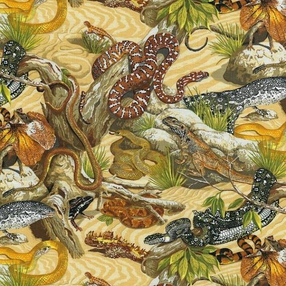 Craftyscienc1's tweet photo. Reptile Mania (skinks, lizzards, snakes, geckos, etc.): Backpack/tote #plantbags #animaltotes #sciencegi... #science https://t.co/PaMUNA673y https://t.co/Q7E2H8HUKb