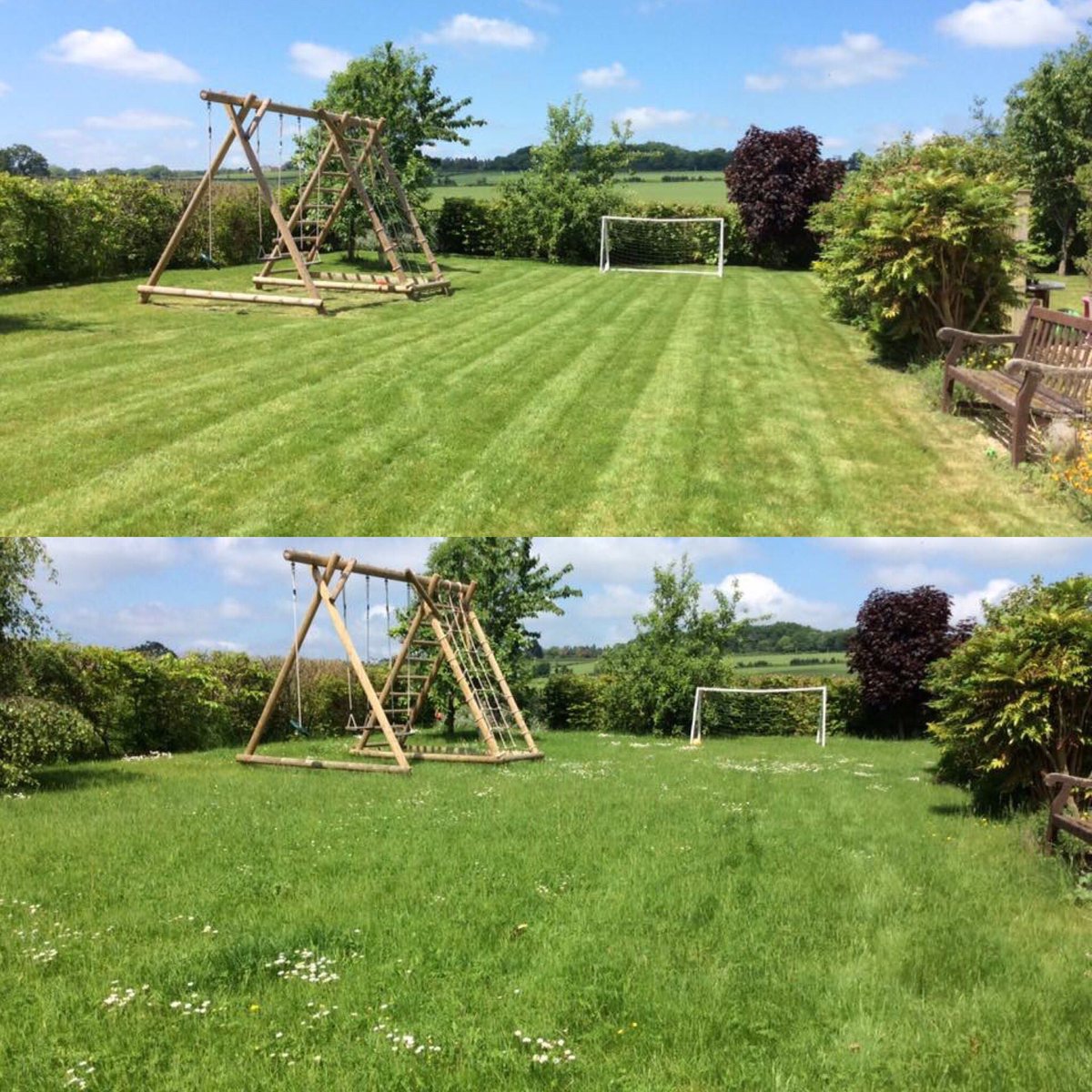 weedsgm's tweet photo. Before and after pics.. big garden looks good now https://t.co/sPxbVNmzBX