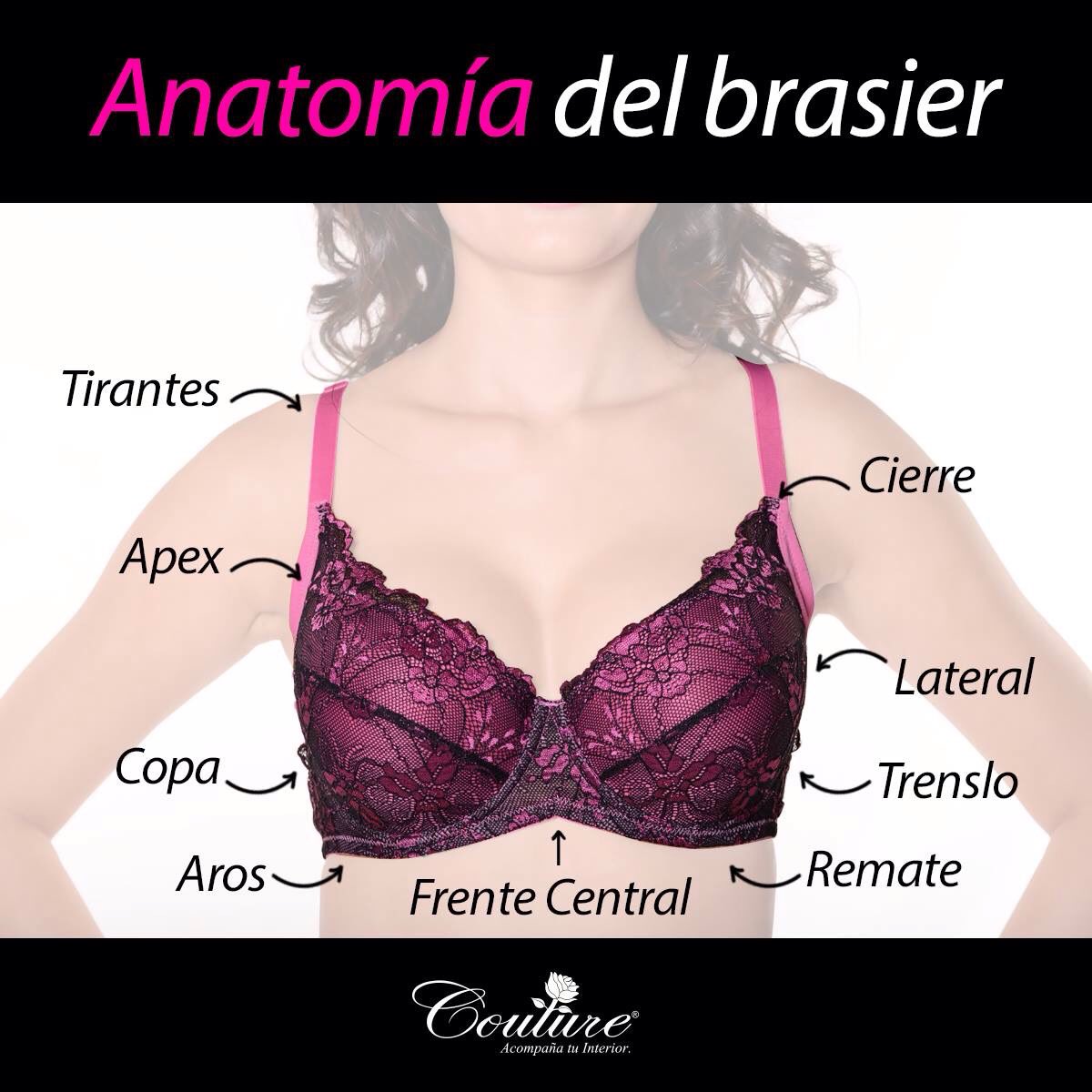 Partes De Un Sosten atelieryuwa.ciao.jp