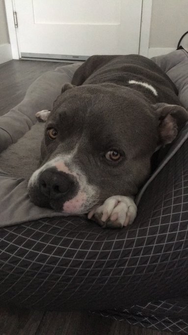 Baby blue says hi https://t.co/3s2rkP9RqI<a href="/tag/vaginalfantasy"class="tags"><span>#vaginalfantasy</span></a><a href="/tag/thoughtsinmyhead"class="tags"><span>#thoughtsinmyhead</span></a>