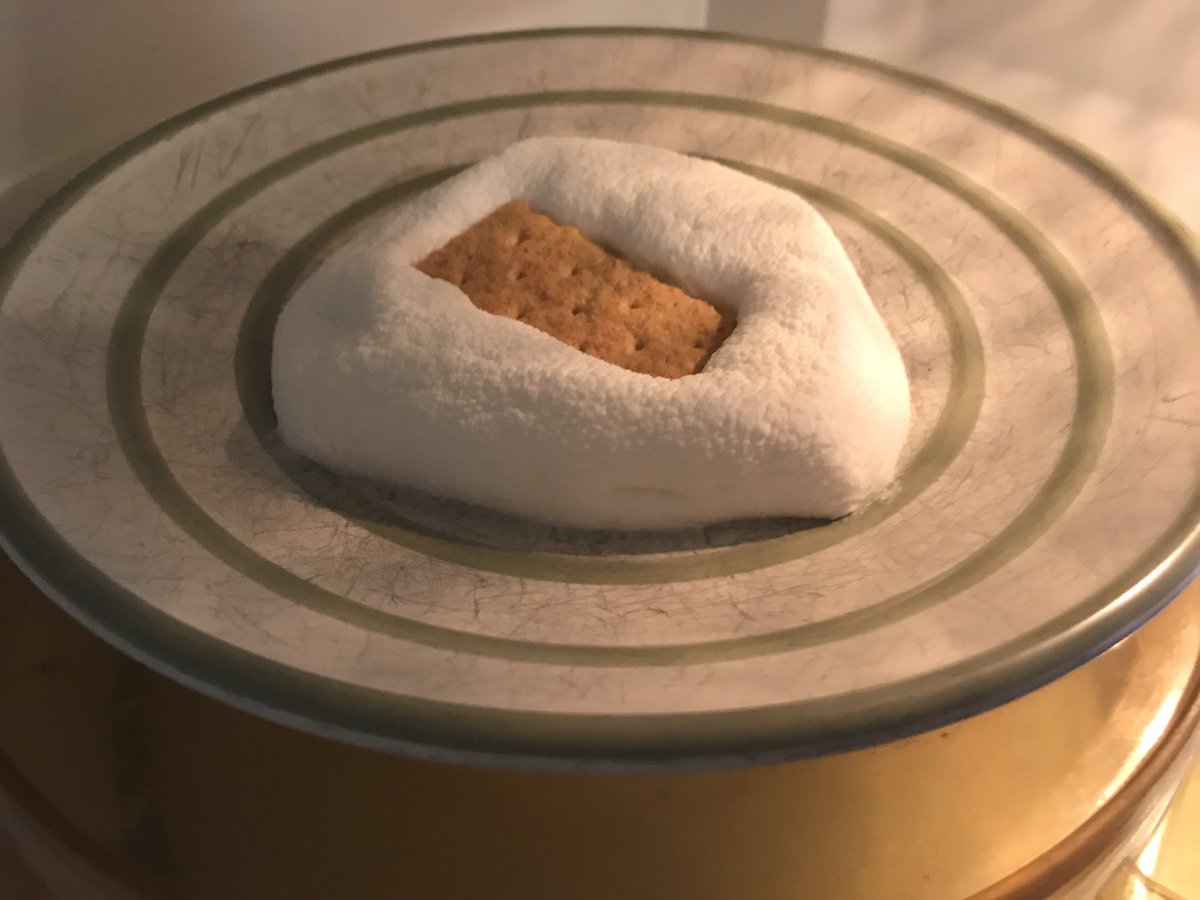 NugeYork's tweet photo. When you put a s'more in the microwave for :30 and have to fight the urge to do something else til it hits :20. #ADD https://t.co/jb4xJKjLvA