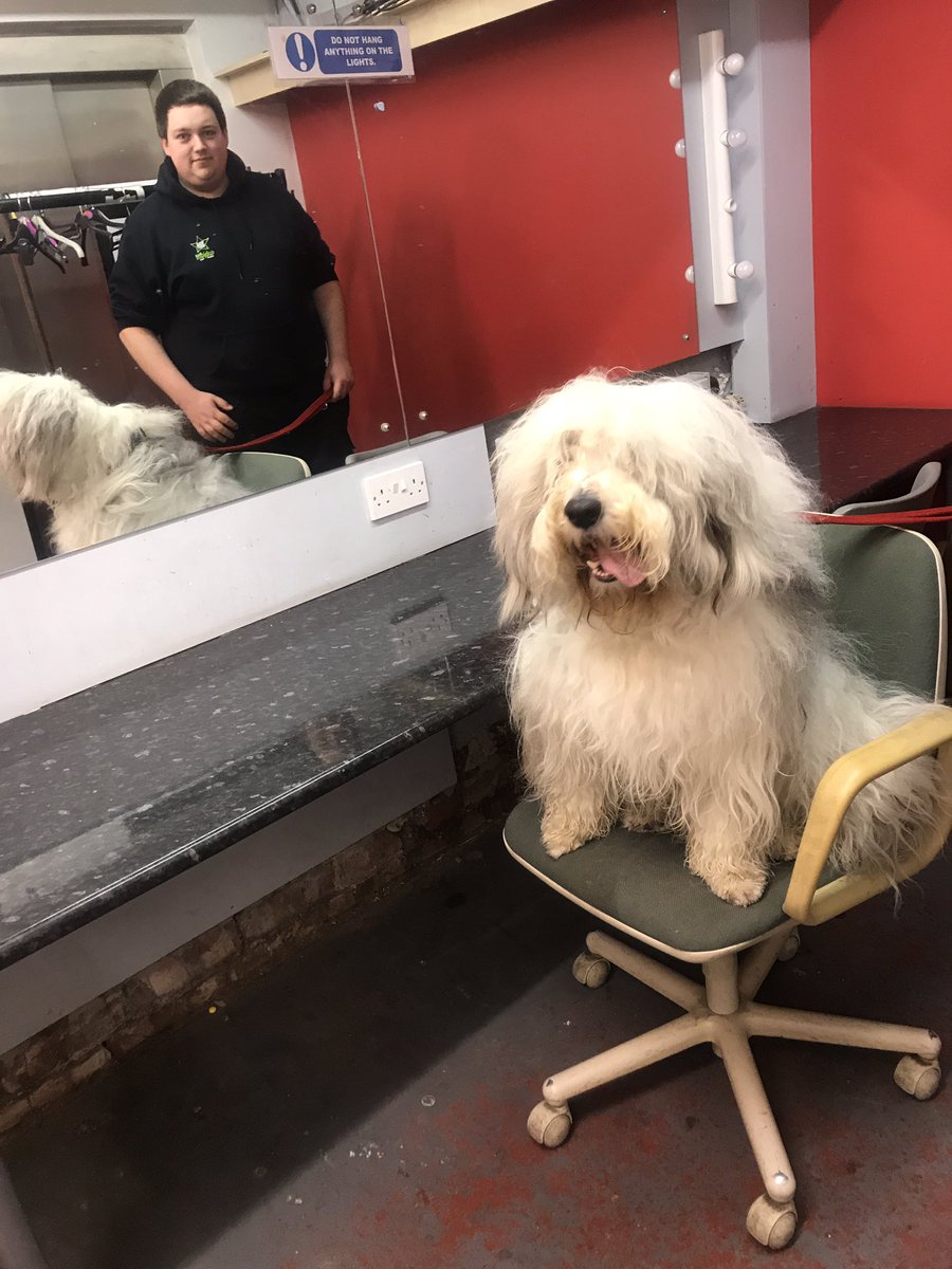 HKennedyJackson's tweet photo. Bobby is loving playing the role of Sandy in Annie @AltrinchamG he appears to have a fan club. Well done so far to a hugely talented cast! https://t.co/uyIJalz8dr