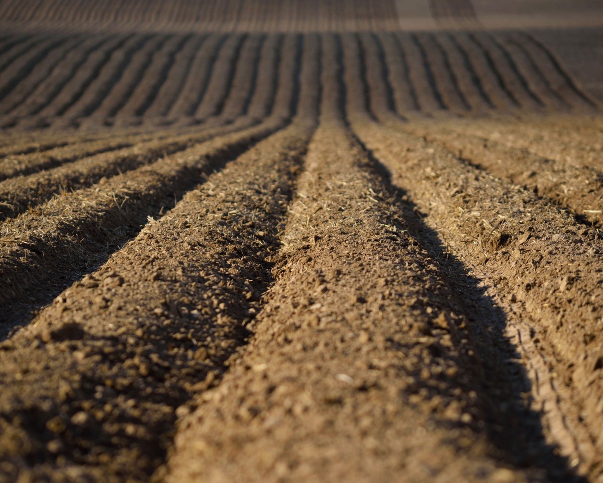 IdahoPotato's tweet photo. #IdahoPotato #Fields for days … #SpringPlanting for #FallHarvest … #ThankAFarmerThursday https://t.co/Ud82wKbfDe