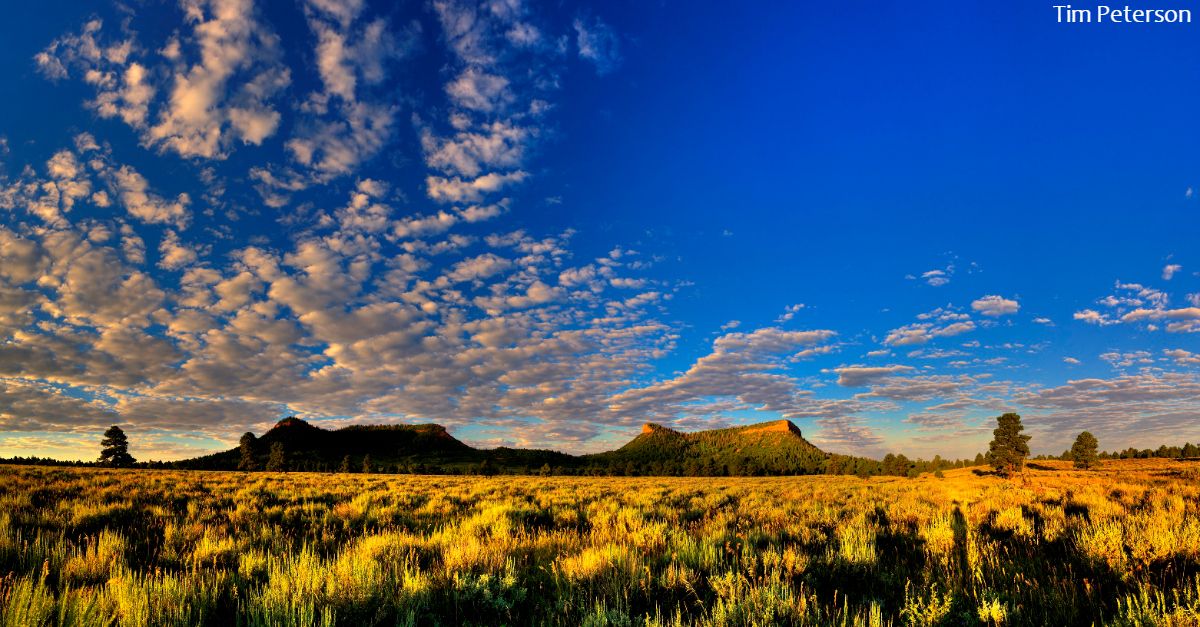 savebearsears's tweet photo. Press Release: More than 685,000 comments #StandWithBearsEars! https://t.co/mnC8SQCDg2 @SecretaryZinke #MonumentsForAll https://t.co/DjyEgBbeko