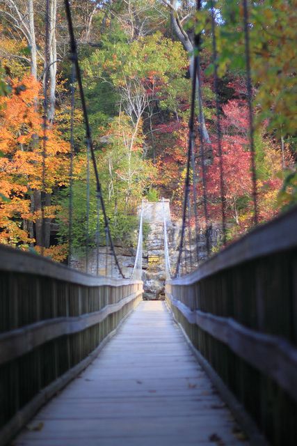 RobJsp's tweet photo. Turkey Run State Park (Indiana, USA) #travel #Indiana #USA https://t.co/9T4ZSWsbjj