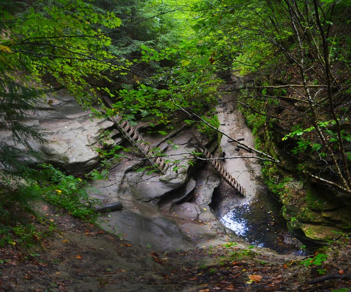 RobJsp's tweet photo. Turkey Run State Park (Indiana, USA) #travel #Indiana #USA https://t.co/9T4ZSWsbjj