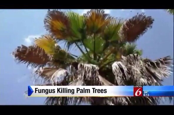 Healing Inspirations tweet media