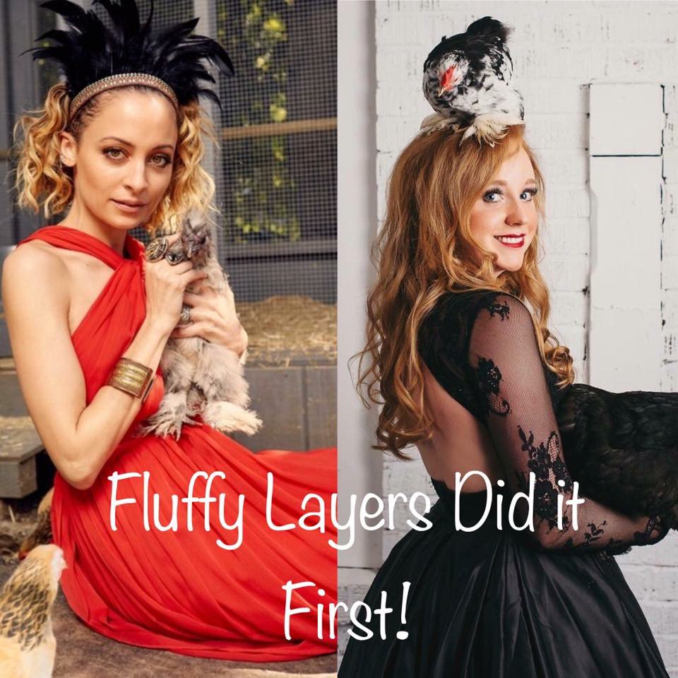 fluffylayers's tweet photo. 😘Major competition in the Chicken World! #crazychickenlady @nicolerichie Nicole Richie #chickencoop #chickensrule #farmqueen #fluffylayers https://t.co/xjsJYmmprt