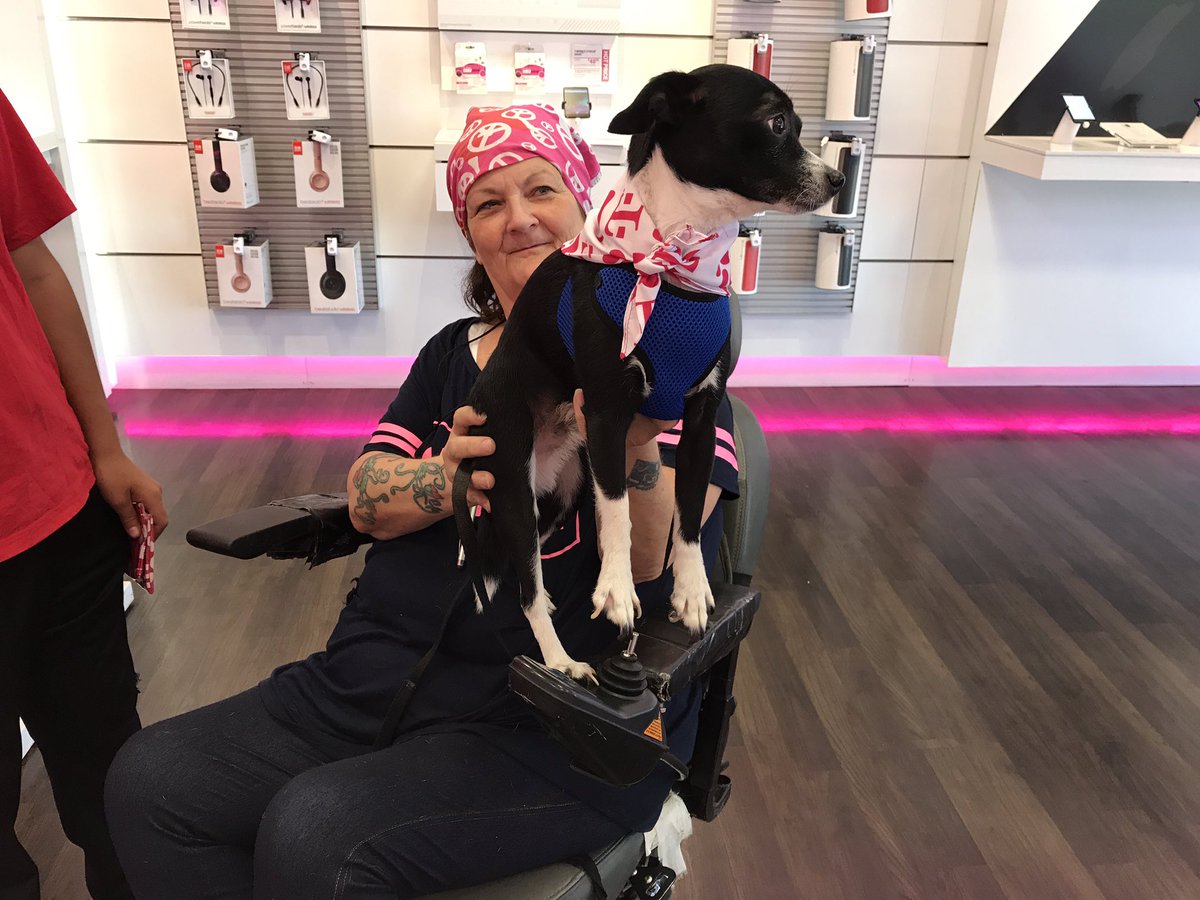 sophanavath's tweet photo. 2 SmartPicks&amp;1 SyncUp later of course we couldn't forget about Ed! Thanks for being a great service dog to Carol! @dabidthegoliath @nazarma https://t.co/DJeU0EAdLR