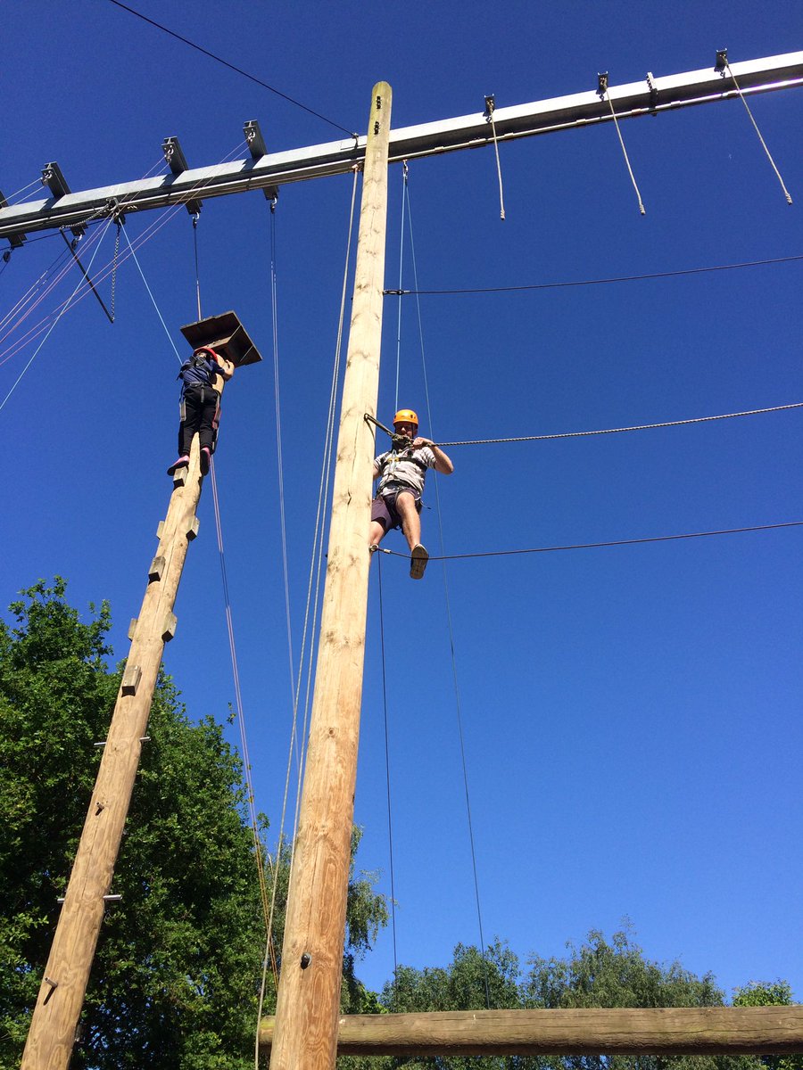 CSS_Primary's tweet photo. High ropes. Facing our fear of heights!! @css_essex https://t.co/Gj2aW3yr9b