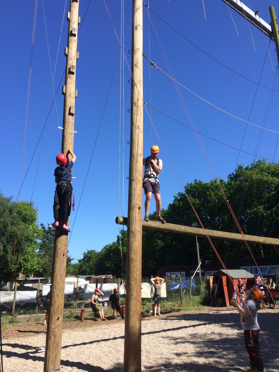 CSS_Primary's tweet photo. High ropes. Facing our fear of heights!! @css_essex https://t.co/Gj2aW3yr9b