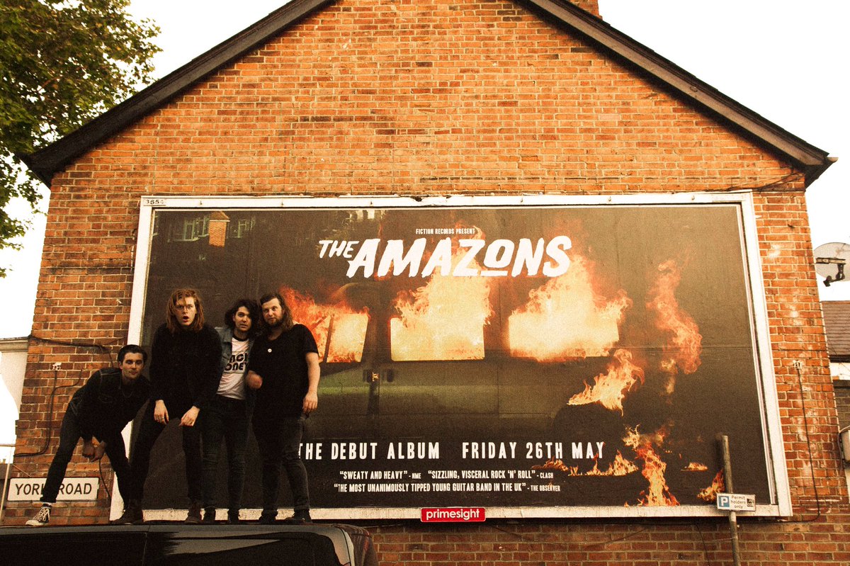 The Amazons tweet media