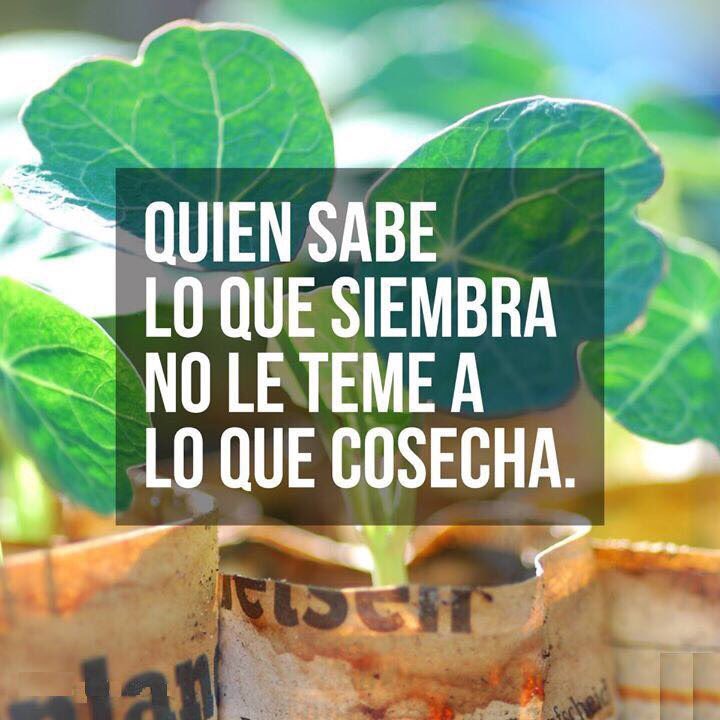 Esta noche lo sabrás! Te esperamos