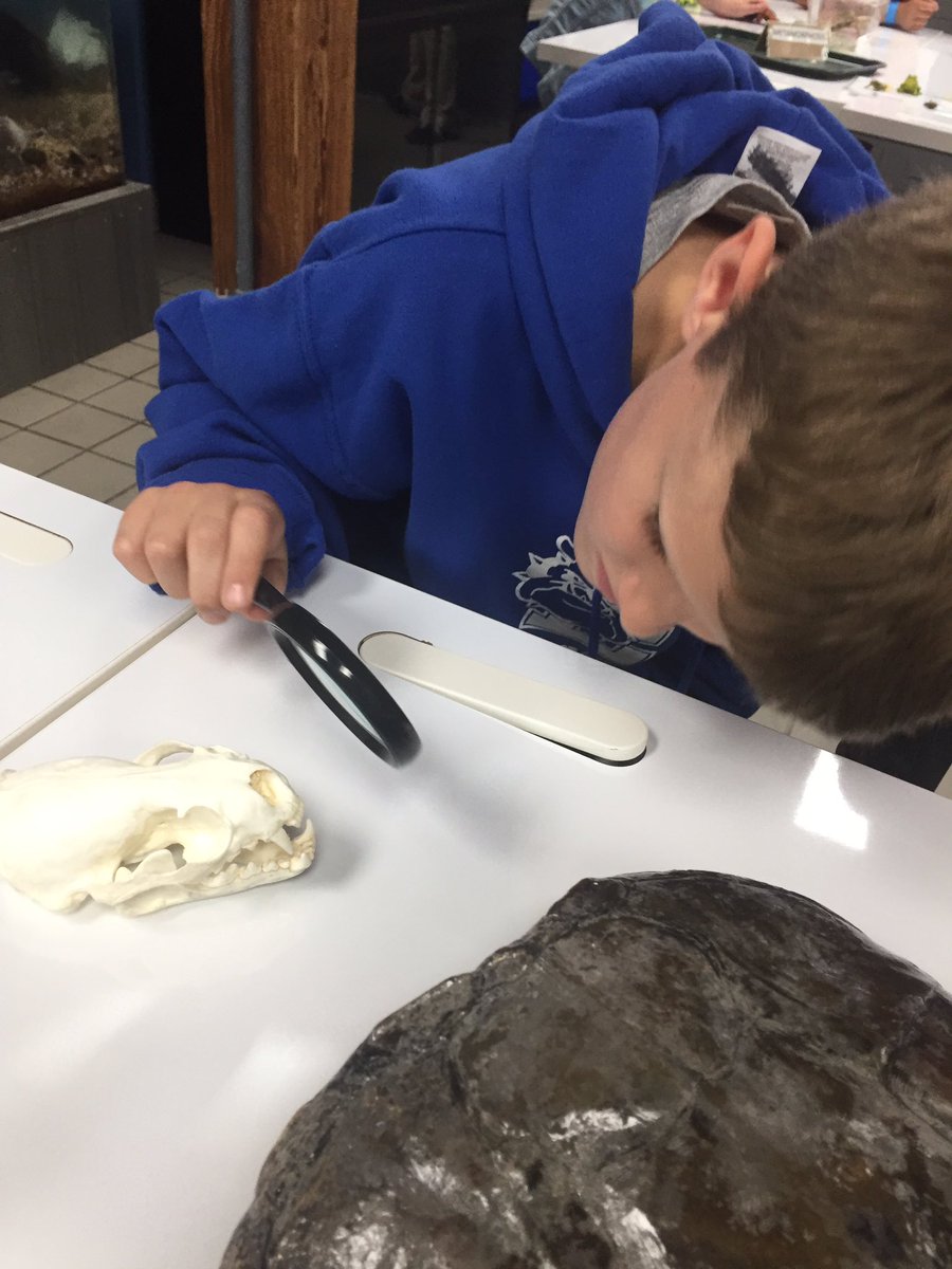 Danielle Camerato tweet media