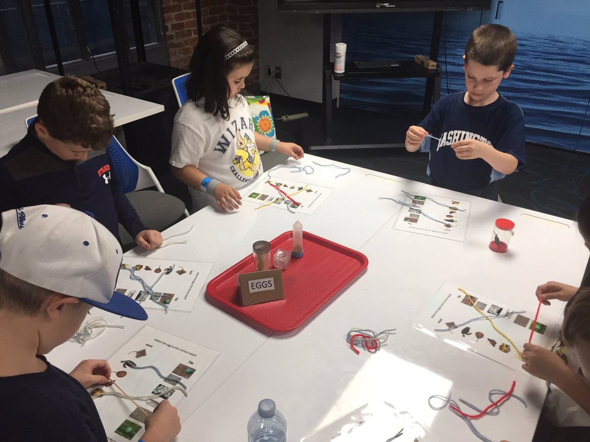 Danielle Camerato tweet media