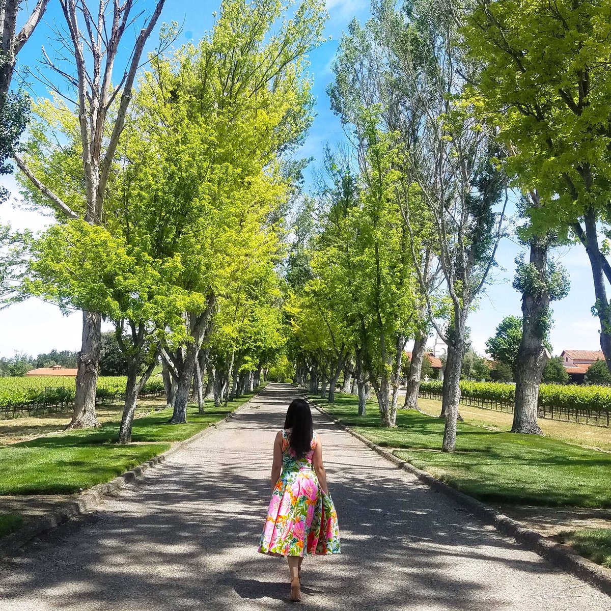 DGDresses's tweet photo. We are so in love with this beautiful picture of our Alina Dress ! Thanks Fabby for sharing !❤️ https://t.co/AfNmw1xhxy