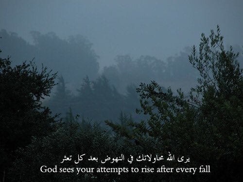 mauso1431's tweet photo. ﴿ فَإنِّي قَرِيبٌ ﴾✨. https://t.co/5Gr6ThmHIM