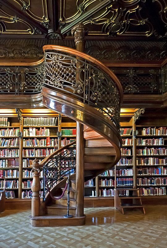 weluvbooks's tweet photo. The dream 😍📚 https://t.co/LmeCS83QHJ
