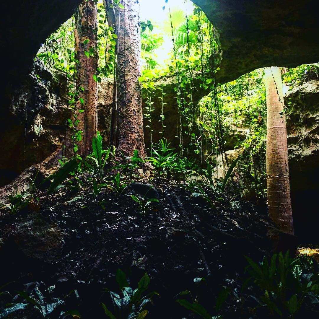 #XplorTips take a moment to admire the beauty of nature.