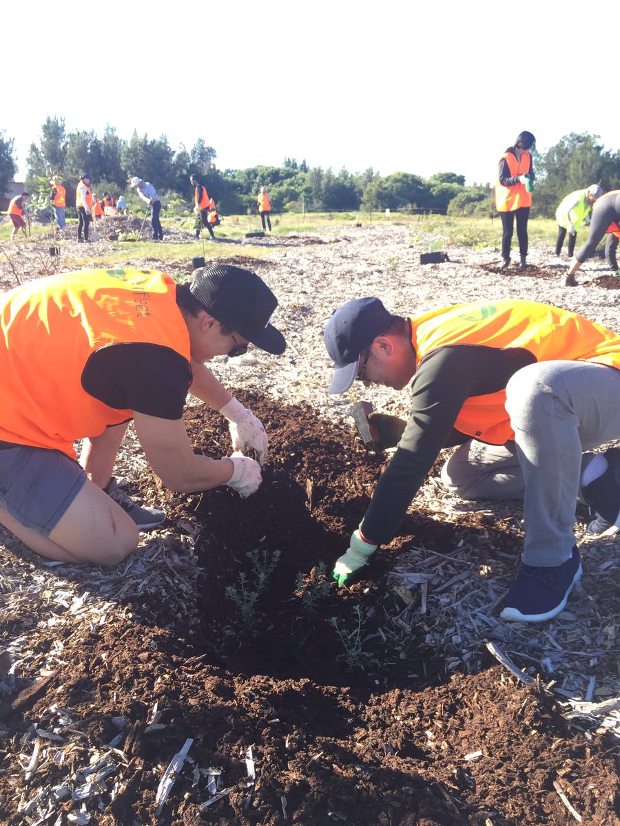 Smiles and hard work from Marcelina, Raymond &amp; Justin from <a href="/Smartsalary/">Smartsalary</a> at our #treeplanting day in Sydney today #GreenfleetHeroes #funtimes
