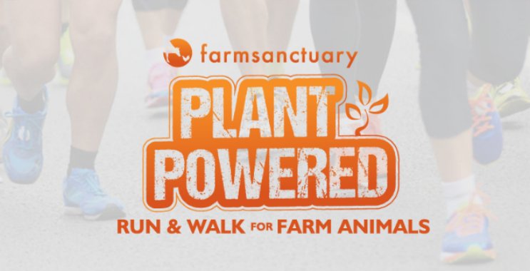FarmSanctuary's tweet photo. Fueled by passion, powered by plants! In the NYC area? Join us June 10 at the #PlantPoweredRun to help farm animals! https://t.co/oON3LWB5pj https://t.co/wdZ2RKWsLt