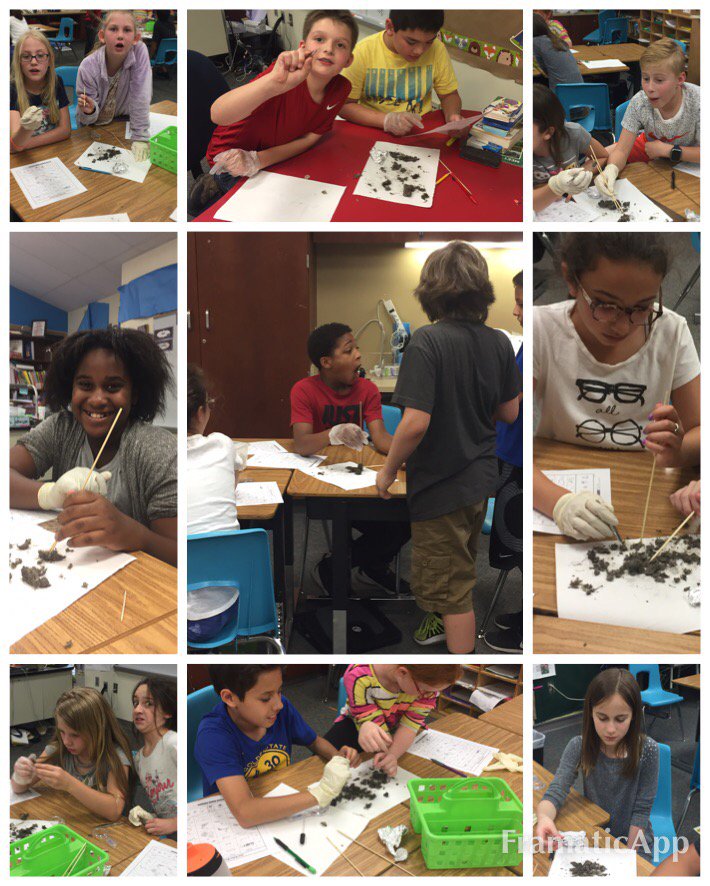 ddenej's tweet photo. Dissecting owl pellets is so much fun! #sciencerocks #grossisgood #3moredays
https://t.co/wIteQiJ7e2 @ValleyCreekMISD https://t.co/mOVpEv7qOv