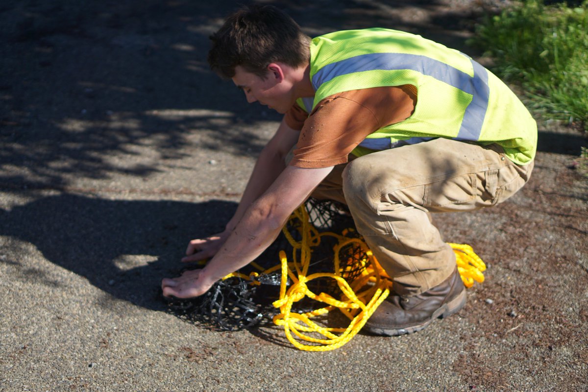 caomo's tweet image. Ducklings Rescured! Thanks to @snocounty Road Maintenances and the three heros! 9 lives saved.👏👍