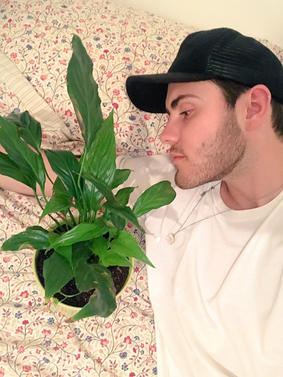 AlfieDeyes's tweet photo. @Sazclose looking after them for you! 🌿 https://t.co/KUiFkdhP6u