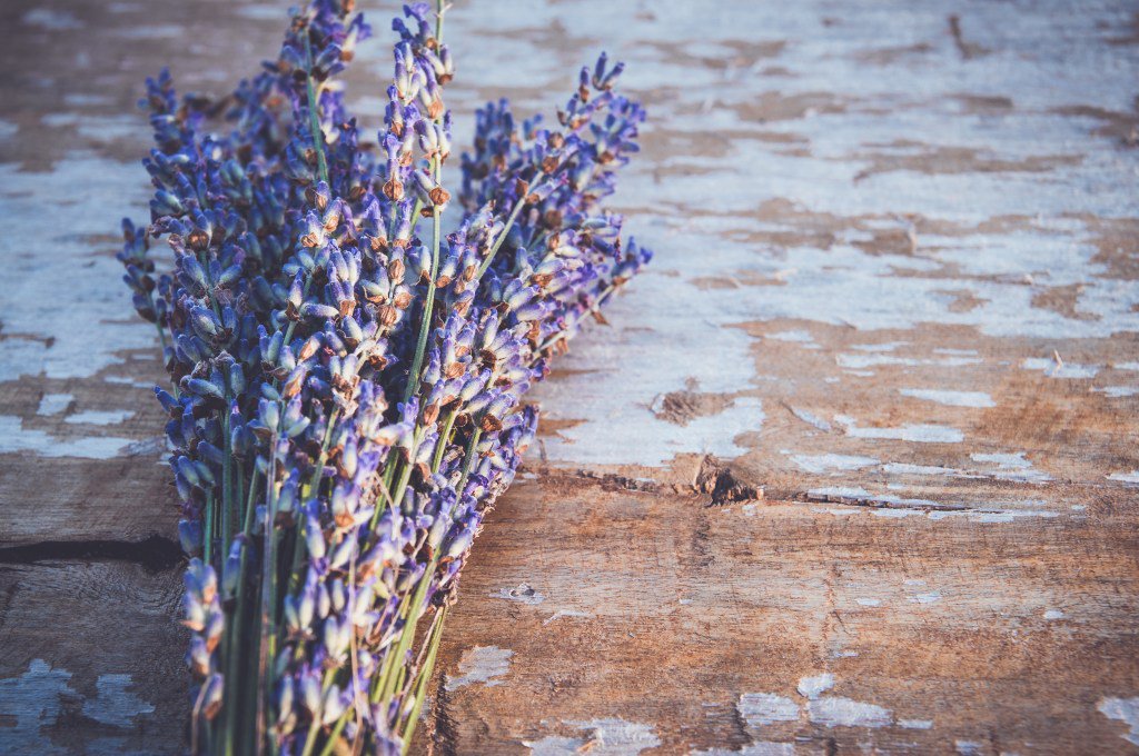 RevDrCastle's tweet photo. The Scent of Stillness https://t.co/VczuM9pQfe https://t.co/bPxUUTz4I7