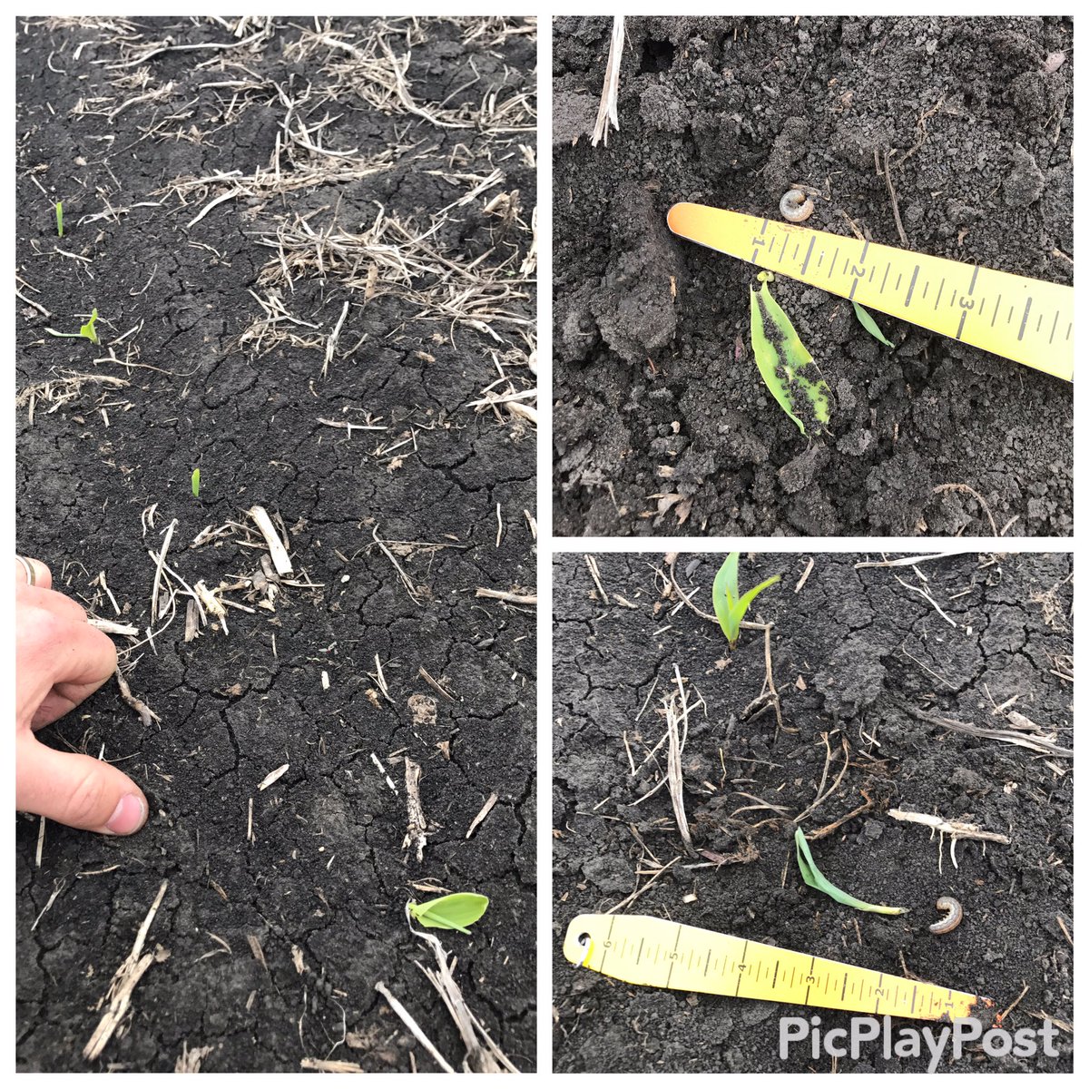 Michael Weir tweet media