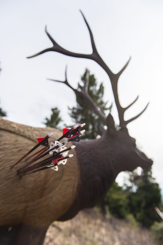 RMEF's tweet photo. About as close as you can get to the real thing.  #archery #elkhunting #septembercalls #practicemakesperfect https://t.co/W0pPevdCuX