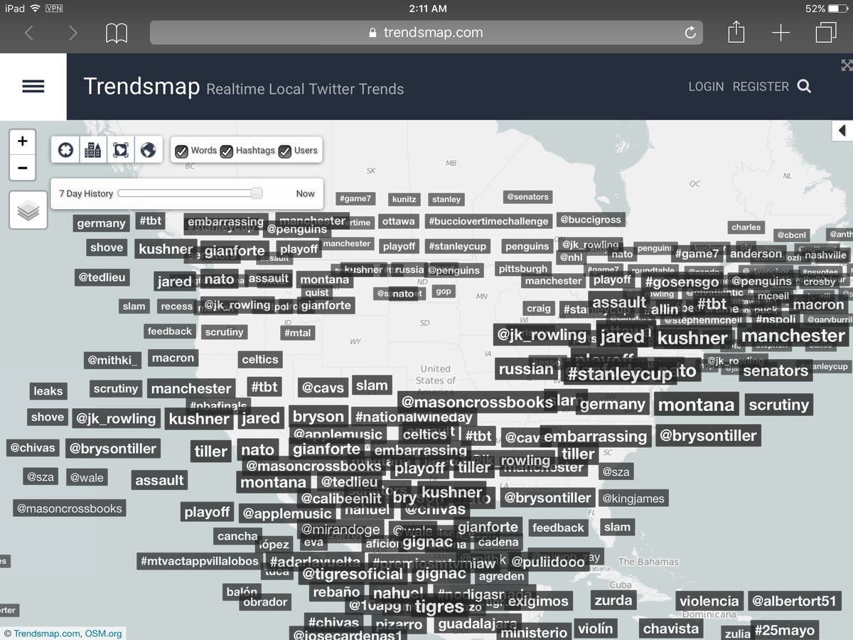 Bad Kitty Unleashed 🦁 💪🏻 tweet media