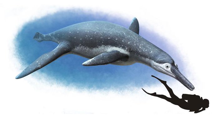 Преглед на изображението в Twitter