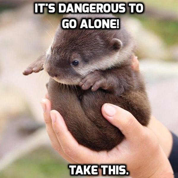 GrowthGamez's tweet photo. Never leave home without it. RT #nature #naturelovers https://t.co/tA6fTWXhYC