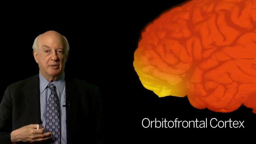bigthink's tweet photo. Want to know where evil originates in the brain? https://t.co/o4vTLG9ib5 https://t.co/zlfDGjjLkA