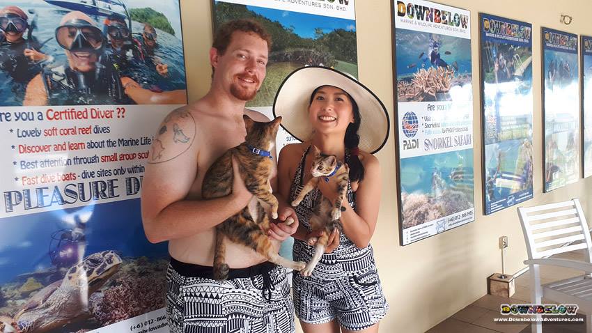 divedownbelow's tweet photo. #DownbelowGuests have a little #CatTime at @divedownbelow #ManukanIsland suring #SurfaceIntervals 😸 #AdoptDontShop https://t.co/c6sYyXAczE https://t.co/giyZOzraaG
