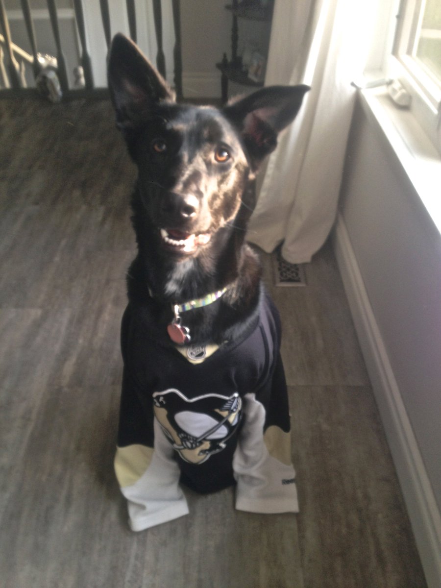 Someone's got their game face on! #doubleOT #pens Cheering on our #87 #sidneycrosby #panache GO PENS!
<a href="/penguins/">x - Pittsburgh Penguins</a> <a href="/NHL/">NHL</a> <a href="/PensInsideScoop/">Pens Inside Scoop</a>