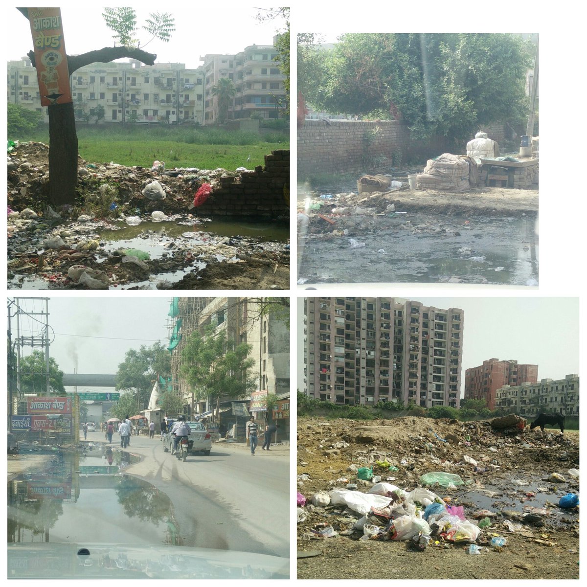 Vrindavan Green tweet media