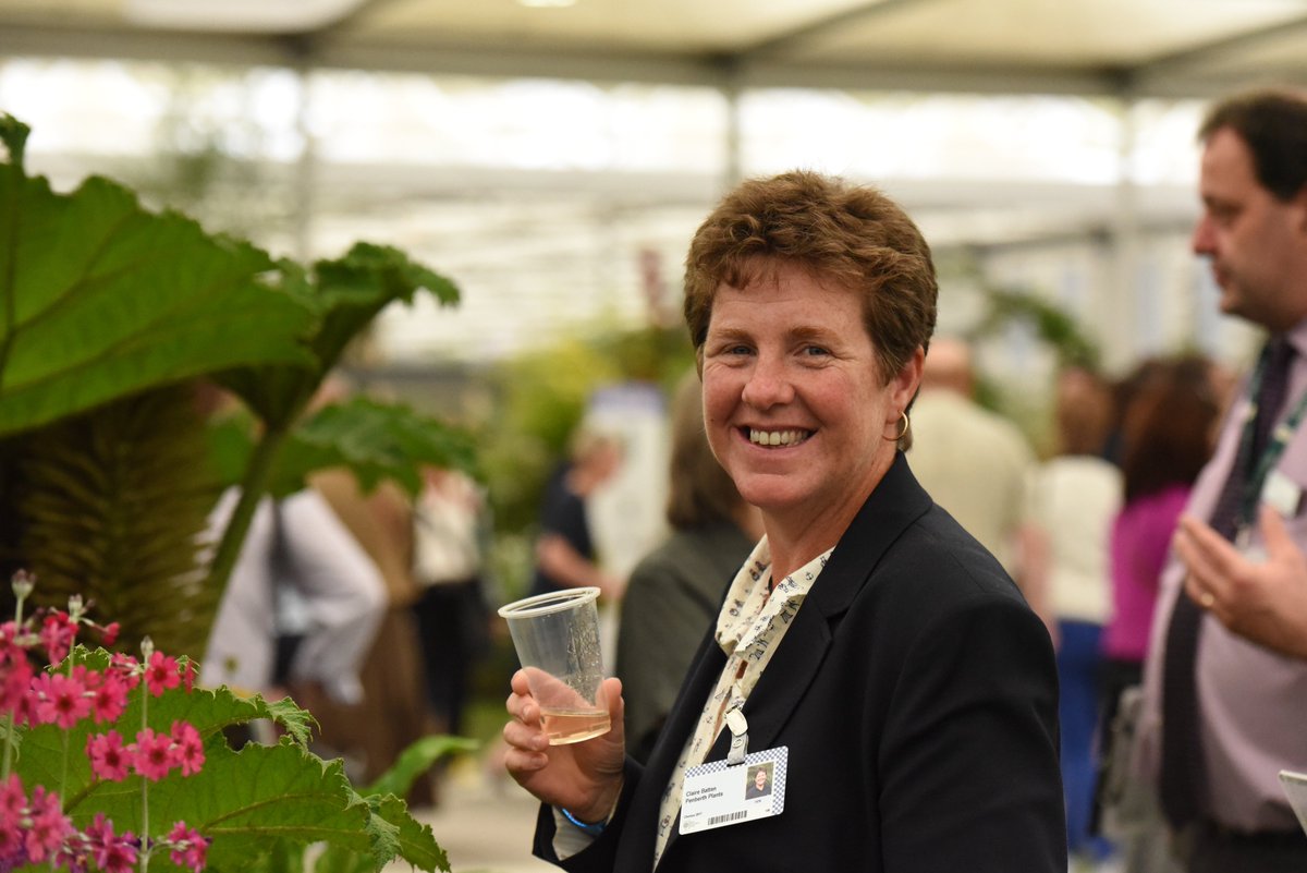 Lynn Batten (@penberth73) on Twitter photo If you happen to be at #rhschelseaflowershow2017 go see @PenberthPlants they won gold and best exhibit and it's <a href="/PenberthClaire/">Claire Batten</a> Birthday If you happen to be at #rhschelseaflowershow2017 go see @PenberthPlants they won gold and best exhibit and it's <a href="/PenberthClaire/">Claire Batten</a> Birthday