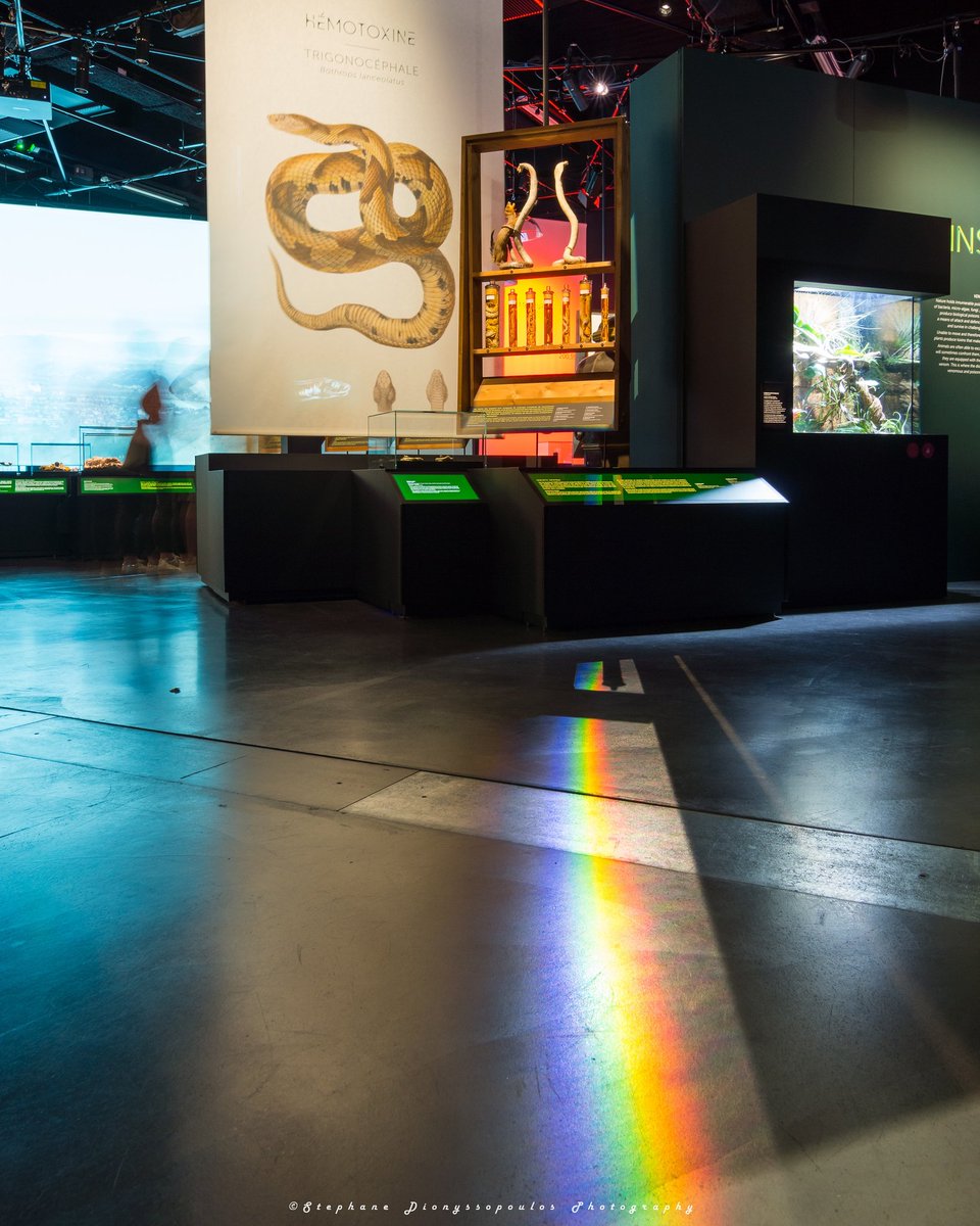 StephDionysso's tweet photo. Venenum, exposition à aller visiter #musee #museedesconfluences @mdc_confluences #lyon #onlylyon https://t.co/Vz2aAkjoHh