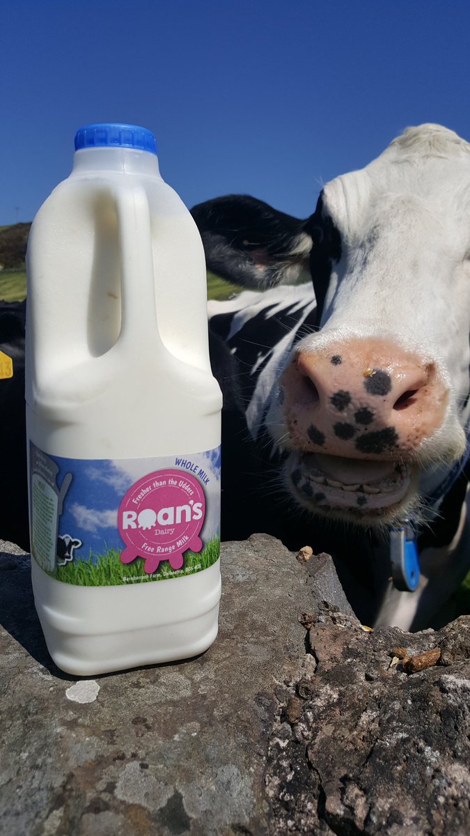 Moo-ring Dumfries &amp; Galloway. Another warm sunny day so make sure and keep rehydrated with #fresh #freerange #milk its #Goodfood