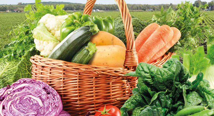 NegatoperlaCasa's tweet photo. COME CONSERVARE LE VERDURE FRESCHE https://t.co/vEHIJ6jshT https://t.co/Ilu79Gk23S