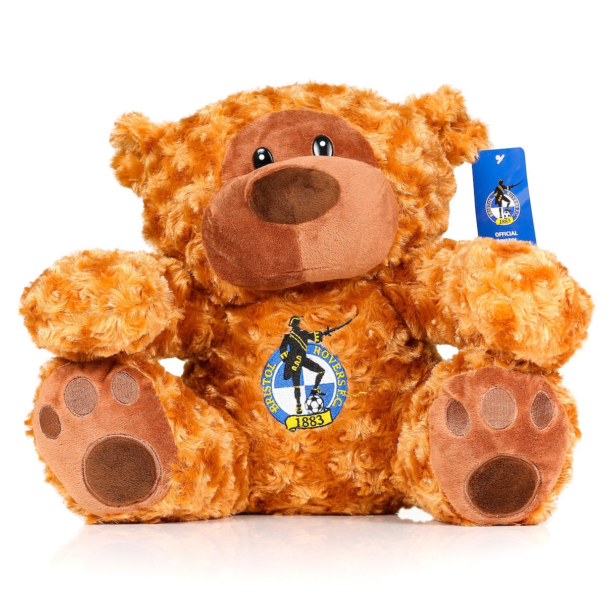 bristol rovers teddy bear