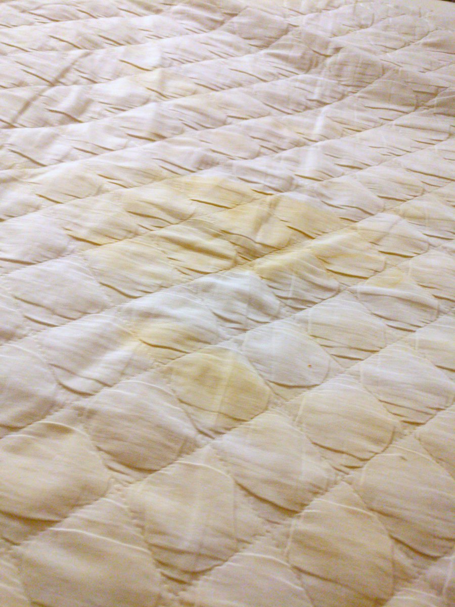 TheWhyChef's tweet photo. @TravelodgeUK We had urine stains on our sheets, but you're still saying we can't cancel a booking because of T&amp;Cs? Is this common then? https://t.co/lCpaQC8umQ