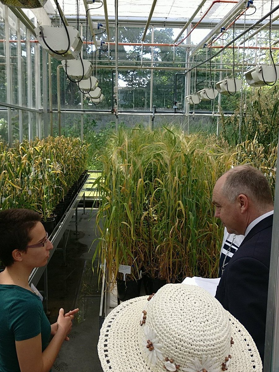 ucdplantsci's tweet photo. Myriam Deshaies of @cerealpath describing her work on #auranta #biostimulants to @ucddublin President Deeks #RosemountExpo @MSCActions https://t.co/qa92SkiTHn