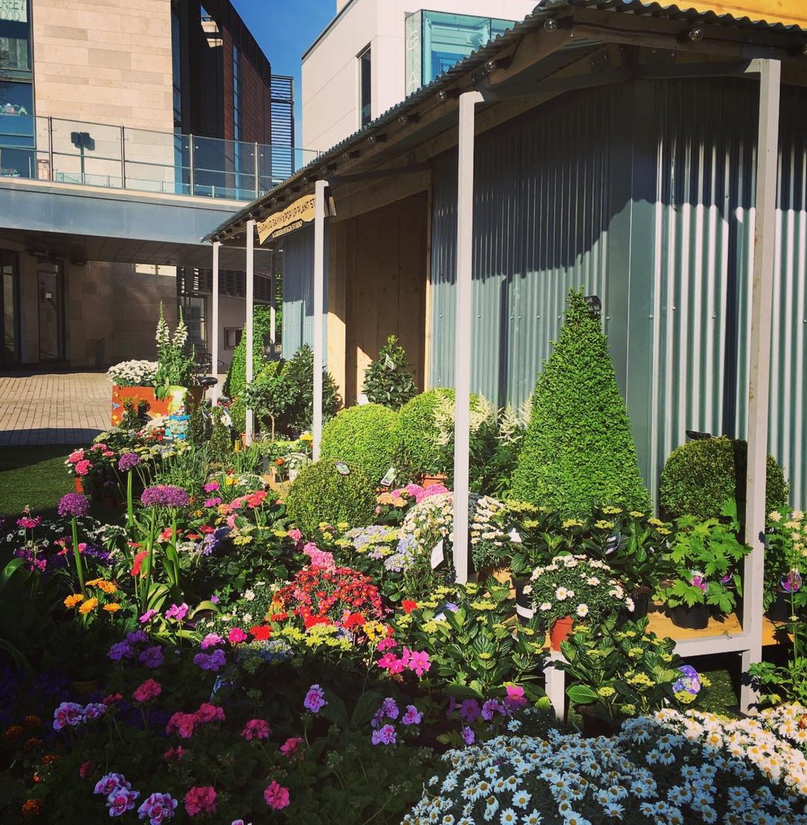 If you're in Dublin today...or planning a visit come and see us at the <a href="/DundrumTC/">Dundrum Town Centre</a> Garden of Pure Imagination! 
tinyurl.com/y9pd9btv