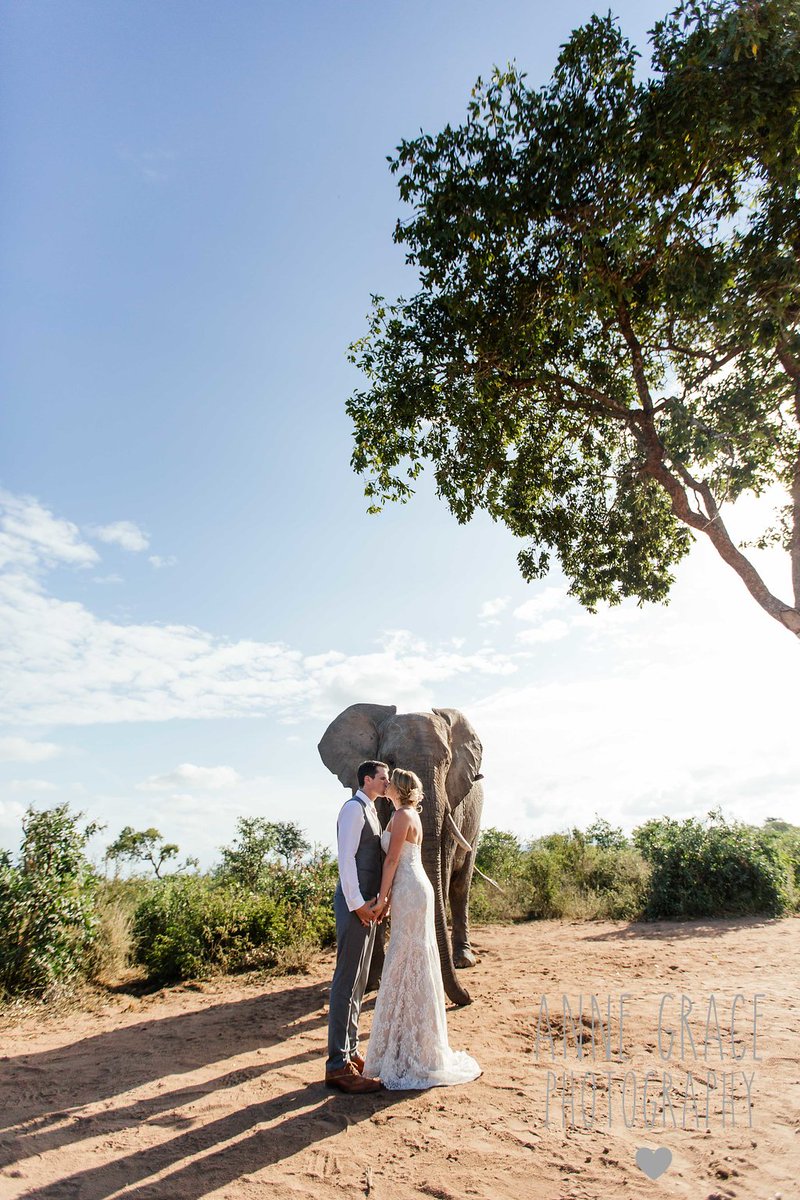 #bushweddings #weddingsinafrica 
confetti.co.za/listing/grand-…