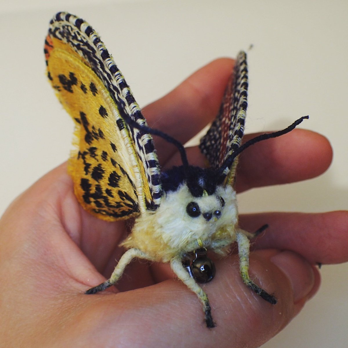 蛾売りおじさん on Twitter: "ビロードハマキの蛾ブローチ。刺し子刺繍のような上翅の模様がとてもお洒落です(*^^*) #蛾ブローチ