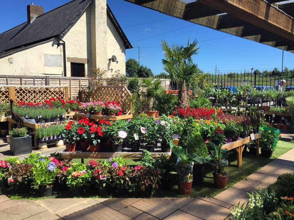 FlowerFactoryGC tweet picture